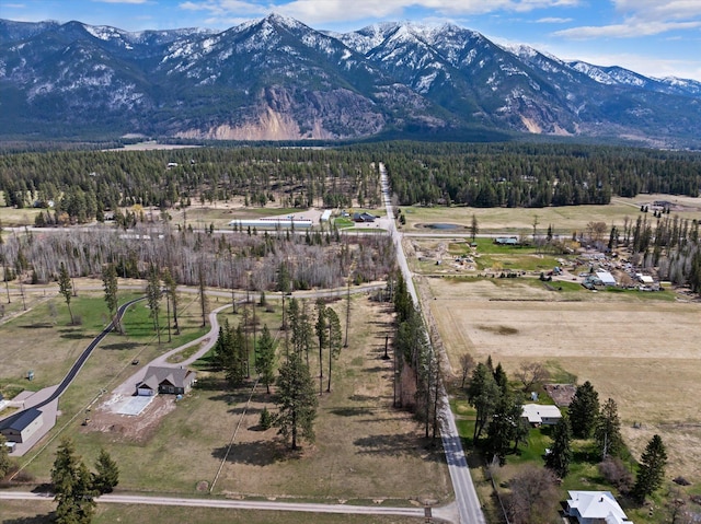 100 Timber Axe Ln, Columbia Falls, MT 59912