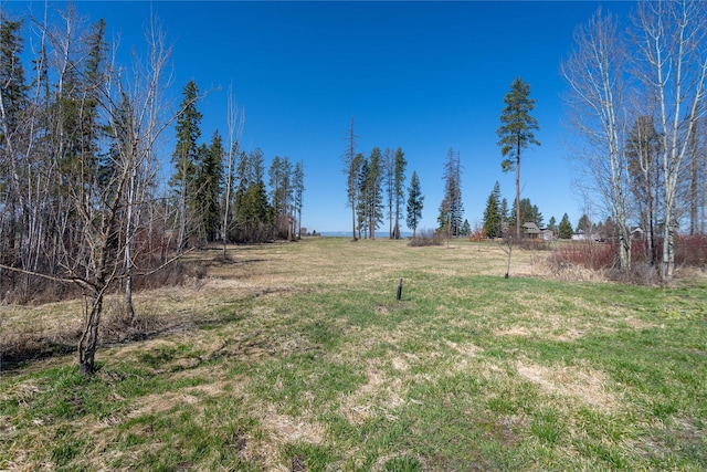 100 Timber Axe Ln, Columbia Falls, MT 59912