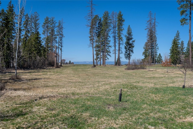 100 Timber Axe Ln, Columbia Falls, MT 59912