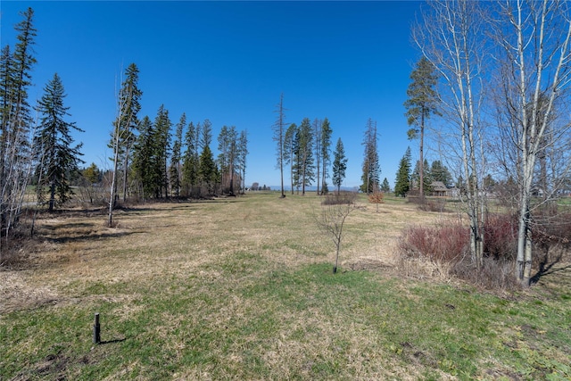 100 Timber Axe Ln, Columbia Falls, MT 59912