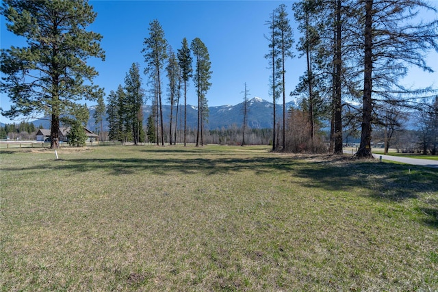 100 Timber Axe Ln, Columbia Falls, MT 59912