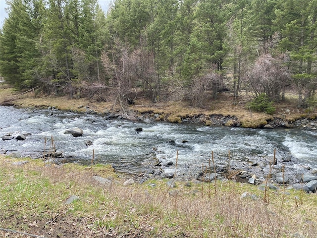 view of local wilderness