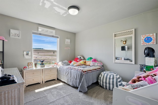 bedroom with carpet