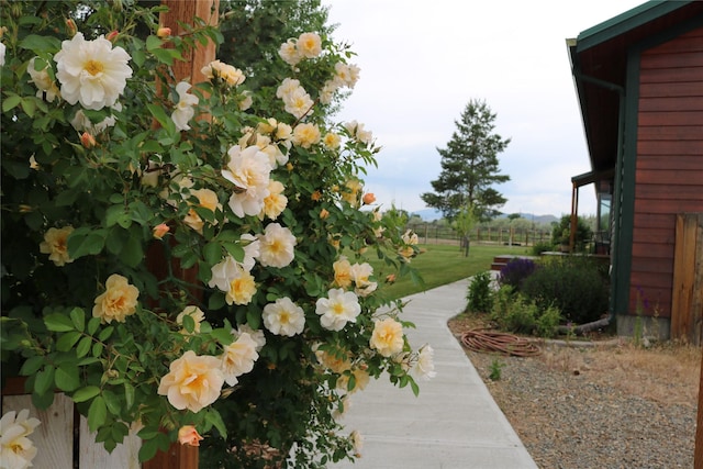 3570 Juniper Dr, Helena, MT 59602 - view of yard