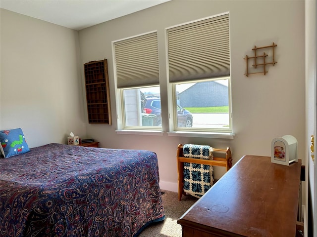 262 Birch Ln, Stevensville, MT 59870 - view of carpeted bedroom