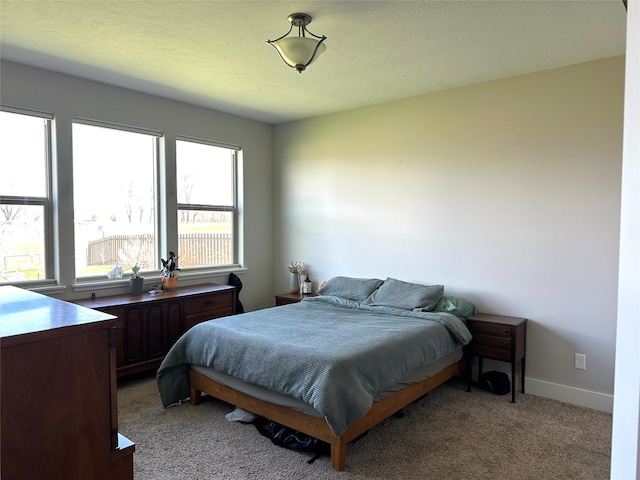 262 Birch Ln, Stevensville, MT 59870 - bedroom featuring baseboards and light carpet