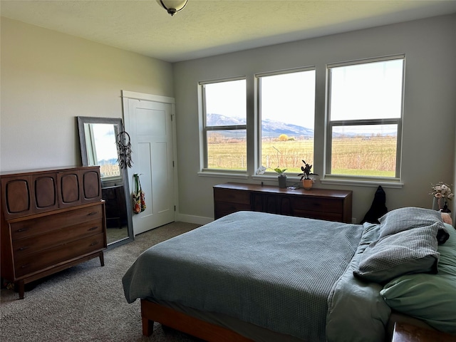 262 Birch Ln, Stevensville, MT 59870 - carpeted bedroom featuring baseboards and multiple windows