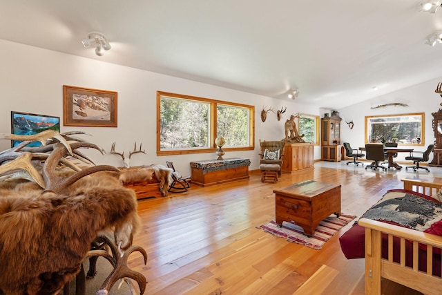 1000 Kelley Rd, Columbia Falls, MT 59912 - living area featuring plenty of natural light, light wood-style floors, and lofted ceiling