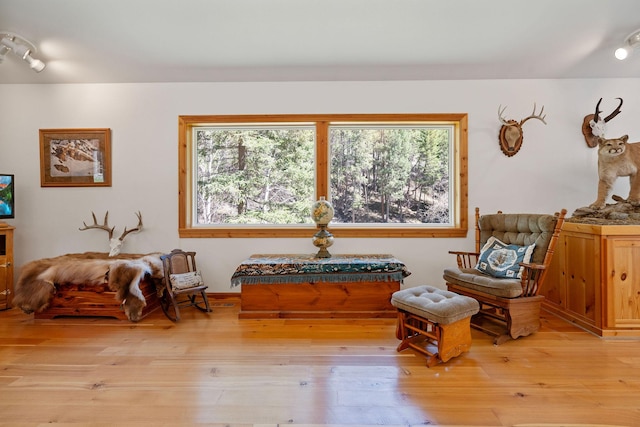 1000 Kelley Rd, Columbia Falls, MT 59912 - sitting room featuring light wood finished floors