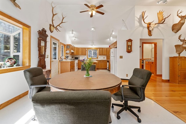 1000 Kelley Rd, Columbia Falls, MT 59912 - dining room with light wood-style flooring, ceiling fan, baseboards, a desk, and track lighting