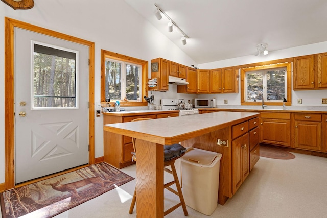 1000 Kelley Rd, Columbia Falls, MT 59912 - kitchen featuring white appliances, vaulted ceiling, light countertops, a breakfast bar area, and under cabinet range hood