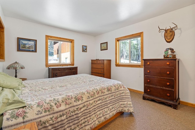 1000 Kelley Rd, Columbia Falls, MT 59912 - bedroom featuring carpet and baseboards