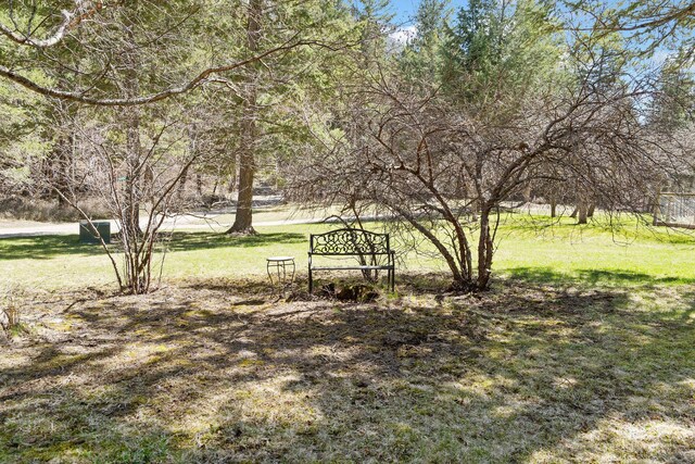 1000 Kelley Rd, Columbia Falls, MT 59912 - surrounding community featuring a yard