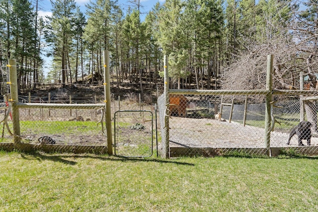 1000 Kelley Rd, Columbia Falls, MT 59912 - view of yard
