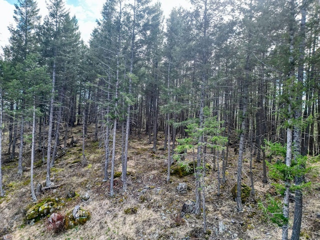 1000 Kelley Rd, Columbia Falls, MT 59912 - view of tree filled area