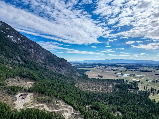 1000 Kelley Rd, Columbia Falls, MT 59912 - view of mountain background
