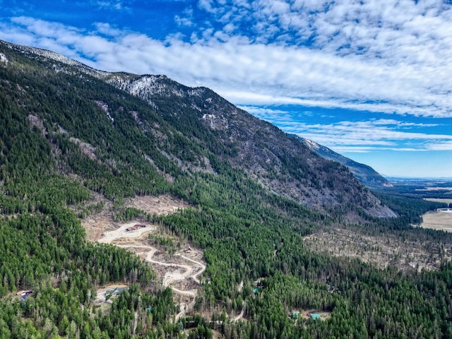 1000 Kelley Rd, Columbia Falls, MT 59912 - view of mountain backdrop featuring a forest