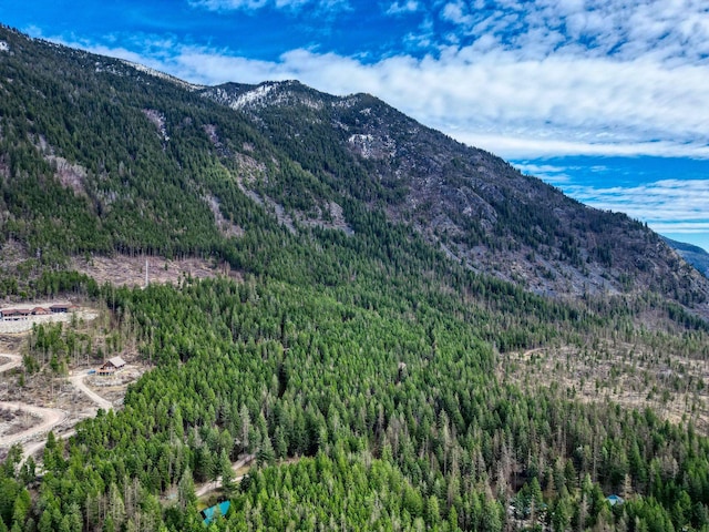 1000 Kelley Rd, Columbia Falls, MT 59912 - mountain view with a forest