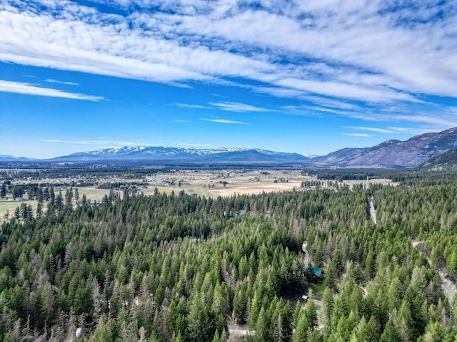 1000 Kelley Rd, Columbia Falls, MT 59912 - mountain view