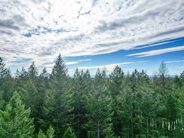 1000 Kelley Rd, Columbia Falls, MT 59912 - view of wooded area