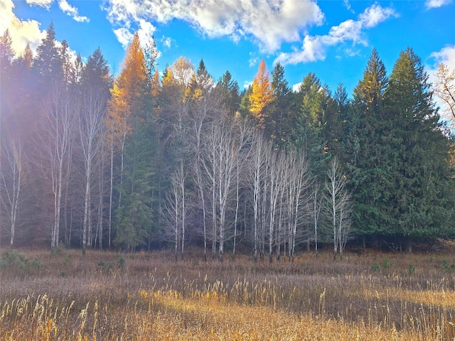 225 Marten Creek Rd, Trout Creek, MT 59874 - view of woods