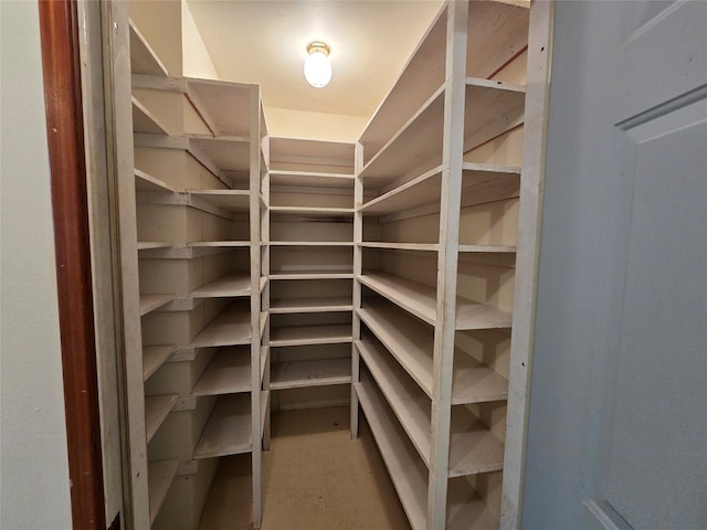 225 Marten Creek Rd, Trout Creek, MT 59874 - view of pantry