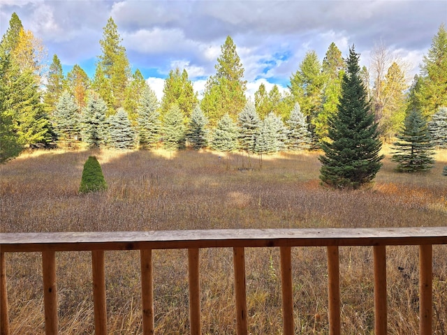 225 Marten Creek Rd, Trout Creek, MT 59874 - view of yard