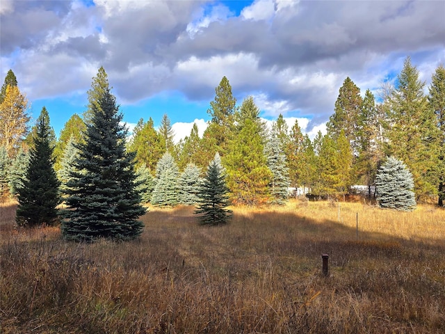 225 Marten Creek Rd, Trout Creek, MT 59874 - view of nature