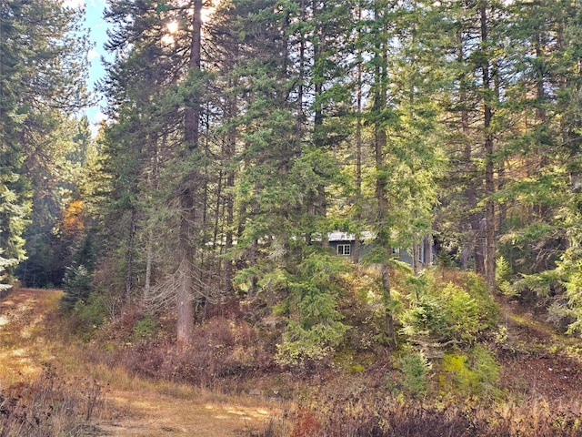 225 Marten Creek Rd, Trout Creek, MT 59874 - view of woods