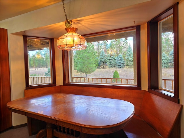 225 Marten Creek Rd, Trout Creek, MT 59874 - dining room with healthy amount of natural light