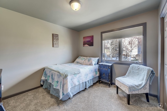 24 Hilltop Dr, Clancy, MT 59634 - bedroom with light carpet