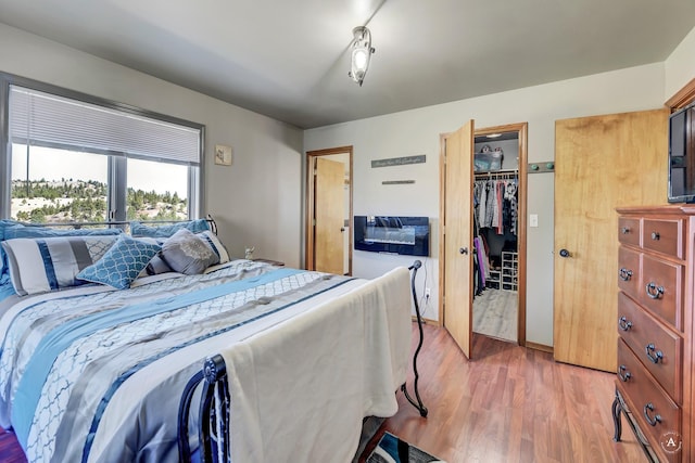 24 Hilltop Dr, Clancy, MT 59634 - bedroom featuring light wood-type flooring, a closet, and a walk in closet