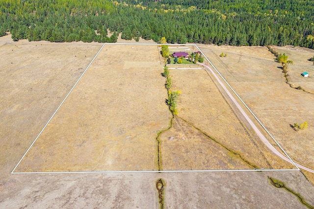 2549 Horseshoe Hills Trl, Seeley Lake, MT 59868 - view of property location featuring a forest and property parcel outlined