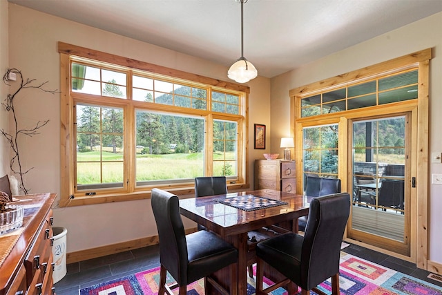 780 Anglers Bend Way, Missoula, MT 59802 - dining room with a healthy amount of sunlight, baseboards, and dark tile patterned flooring