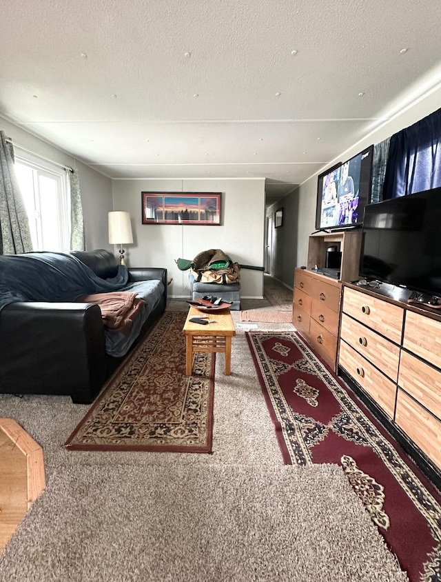 living area with carpet and a textured ceiling