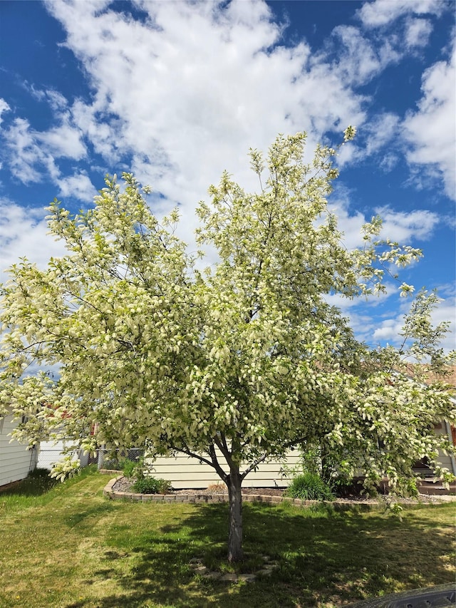 2225 N Dr, Butte, MT 59701 - view of green lawn