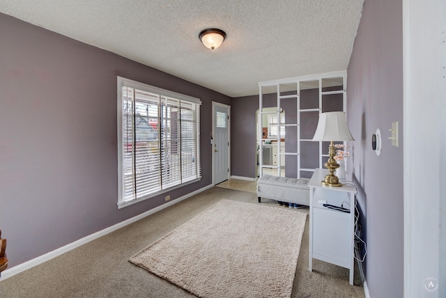 730 N Montana Ave, Helena, MT 59601 - interior space featuring carpet, a textured ceiling, and baseboards