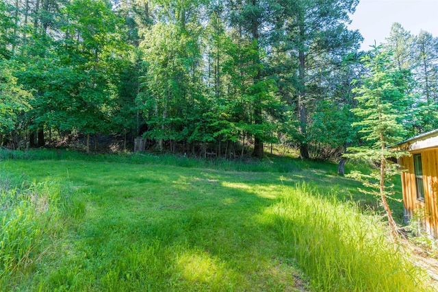 view of yard featuring a forest view