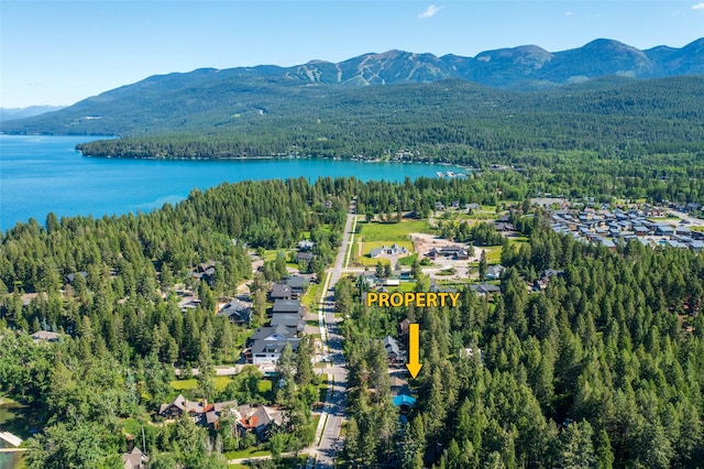bird's eye view featuring a water and mountain view and a wooded view