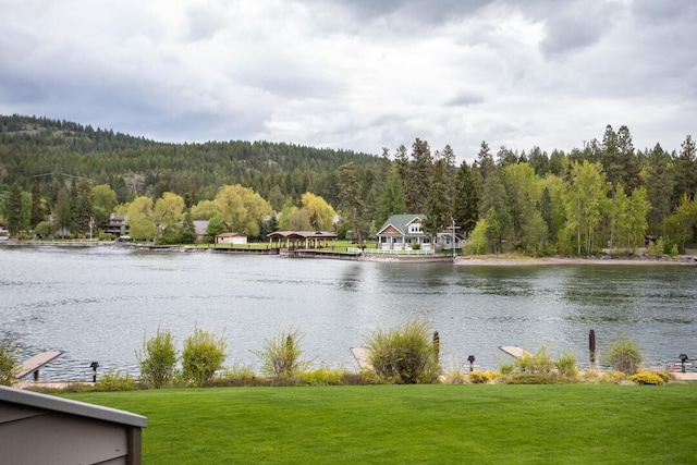 105 Oliver Ln Unit 7, Bigfork, MT 59911 - water view featuring a forest