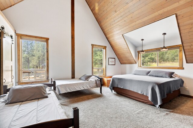 5608 Trinity Way, Florence, MT 59833 - bedroom with wood ceiling, carpet floors, and high vaulted ceiling