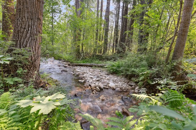 5608 Trinity Way, Florence, MT 59833 - view of local wilderness