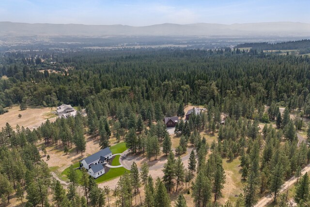 5608 Trinity Way, Florence, MT 59833 - birds eye view of property with a forest view and a mountain view