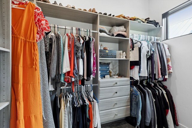 5608 Trinity Way, Florence, MT 59833 - view of spacious closet