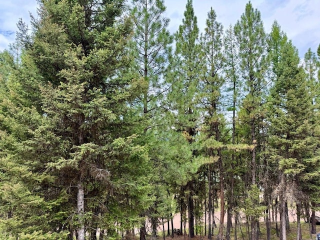 1180 Grandview Dr, Seeley Lake, MT 59868 - view of tree filled area