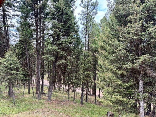 1180 Grandview Dr, Seeley Lake, MT 59868 - view of tree filled area