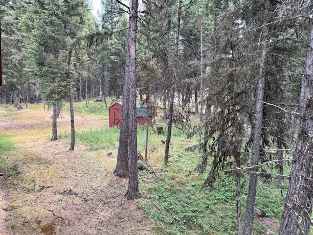 1180 Grandview Dr, Seeley Lake, MT 59868 - view of wooded area