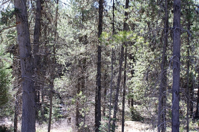 2215 Pleasant Valley Rd, Marion, MT 59925