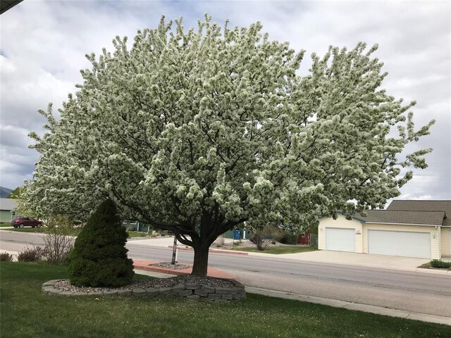 4891 Christian Dr, Missoula, MT 59803 - view of yard with a fenced backyard and a patio