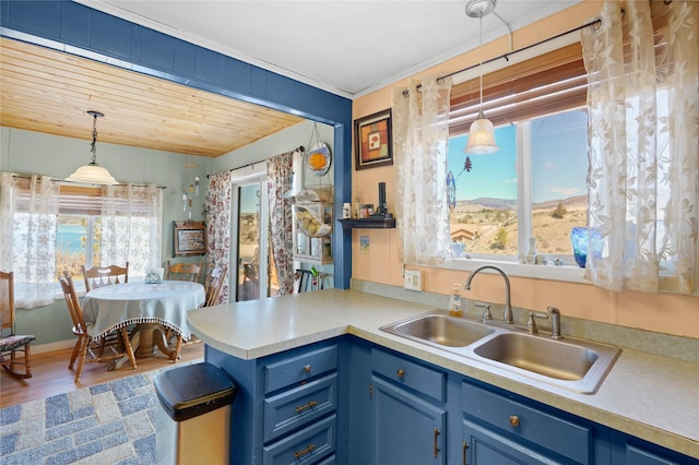 bedroom featuring wood finished floors, ceiling fan, and ornamental molding